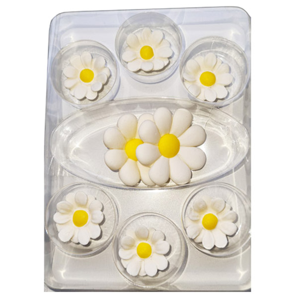 Sladkorne marjetice bele MP