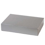 Embalaža za sladice Srebrna 23 x 16 cm