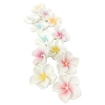 Jasmin beli mix MP