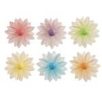 Marjetice mix hostija 7 cm, 15/1
