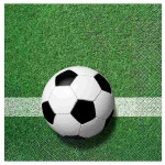 Papirnate serviete Nogomet 20/1